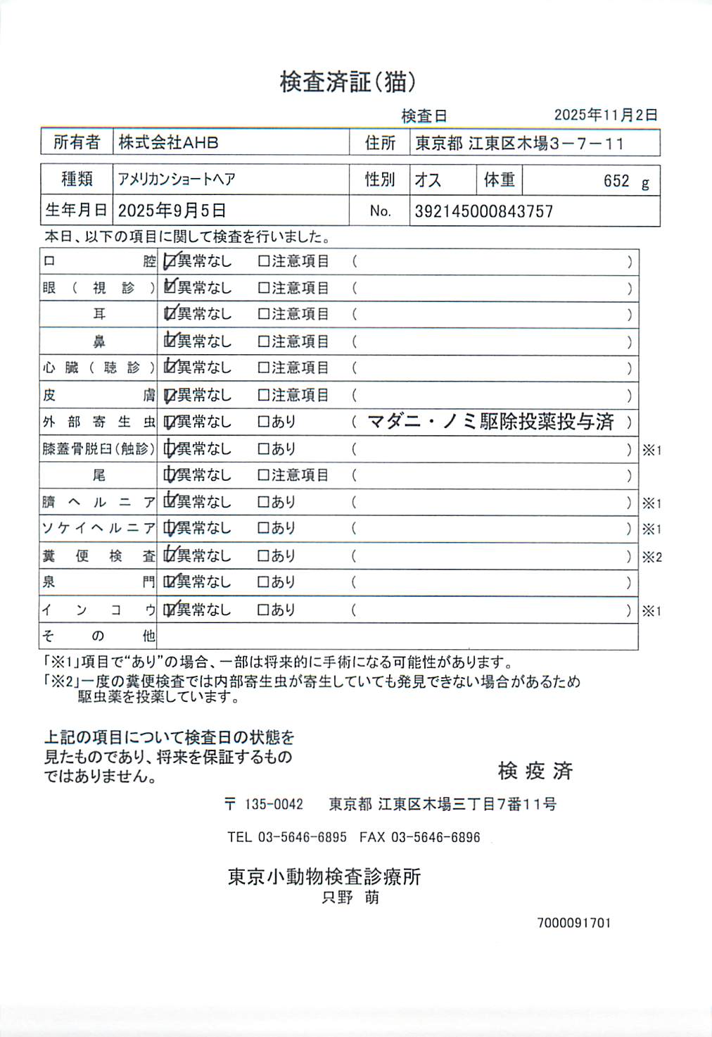 アメリカンショートヘア