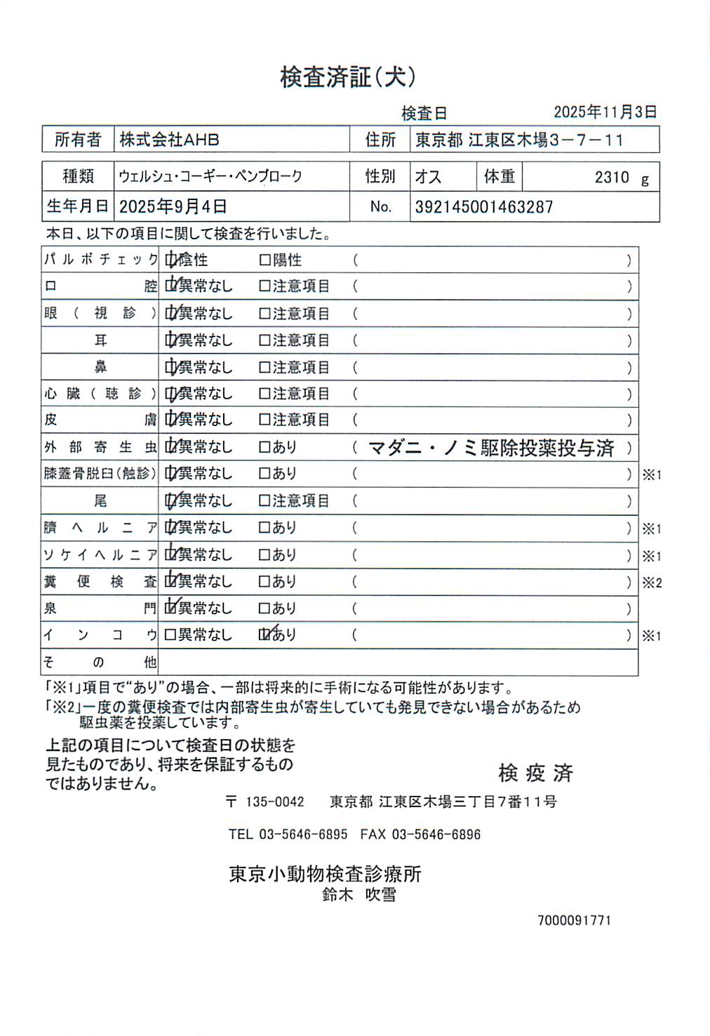 ウェルシュ・コーギー・ペンブローク