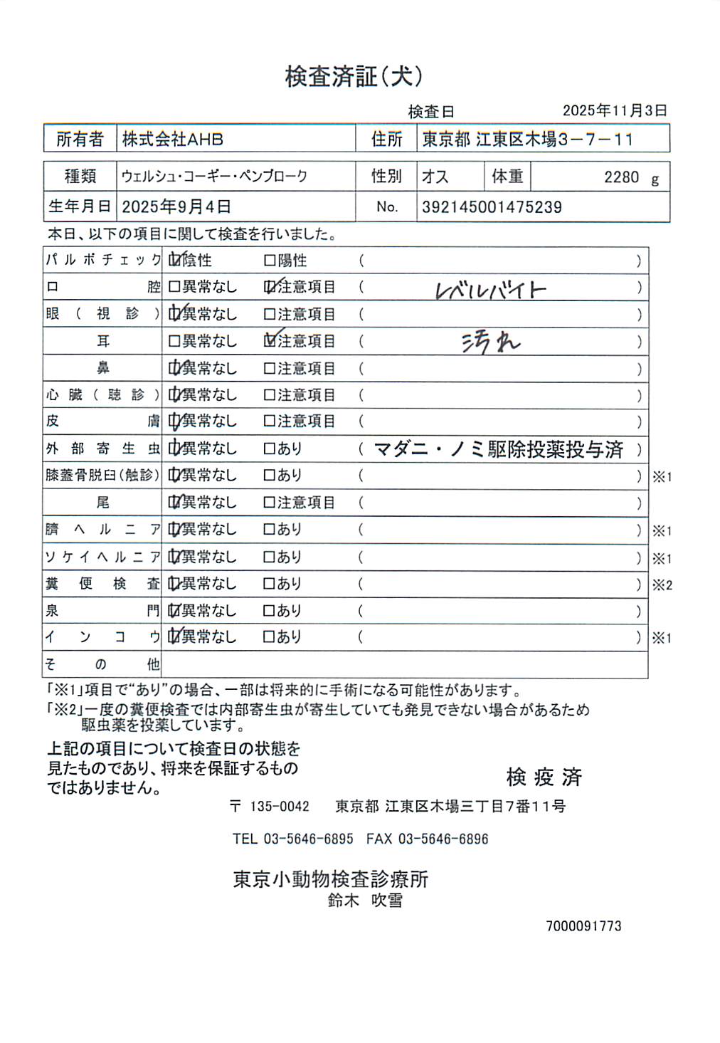 ウェルシュ・コーギー・ペンブローク