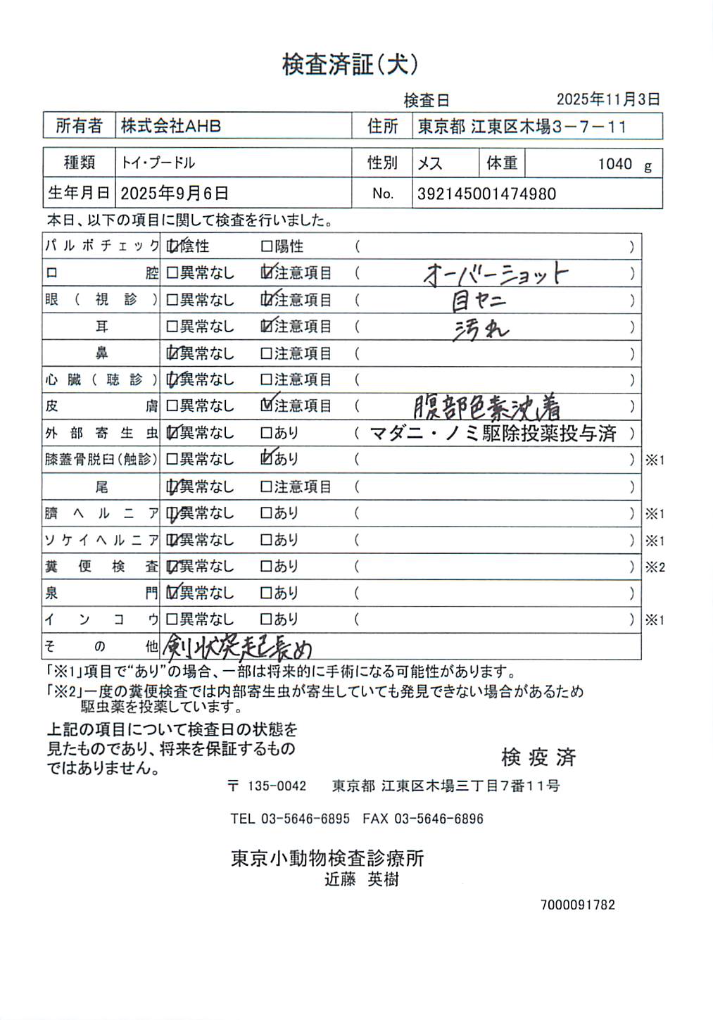 トイ・プードル