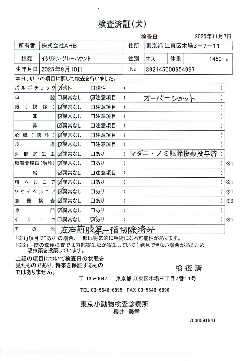 イタリアン・グレーハウンド