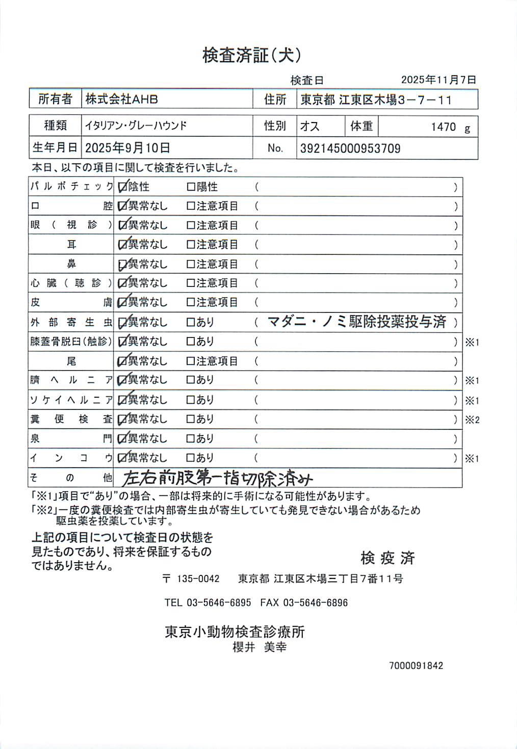 イタリアン・グレーハウンド