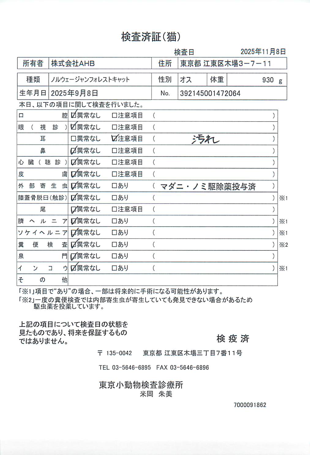 ノルウェージャンフォレストキャット