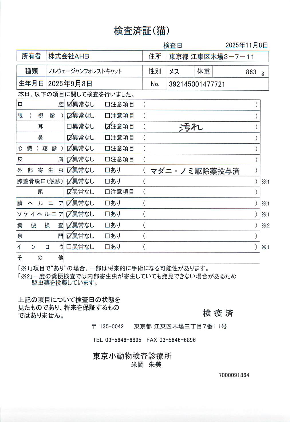 ノルウェージャンフォレストキャット
