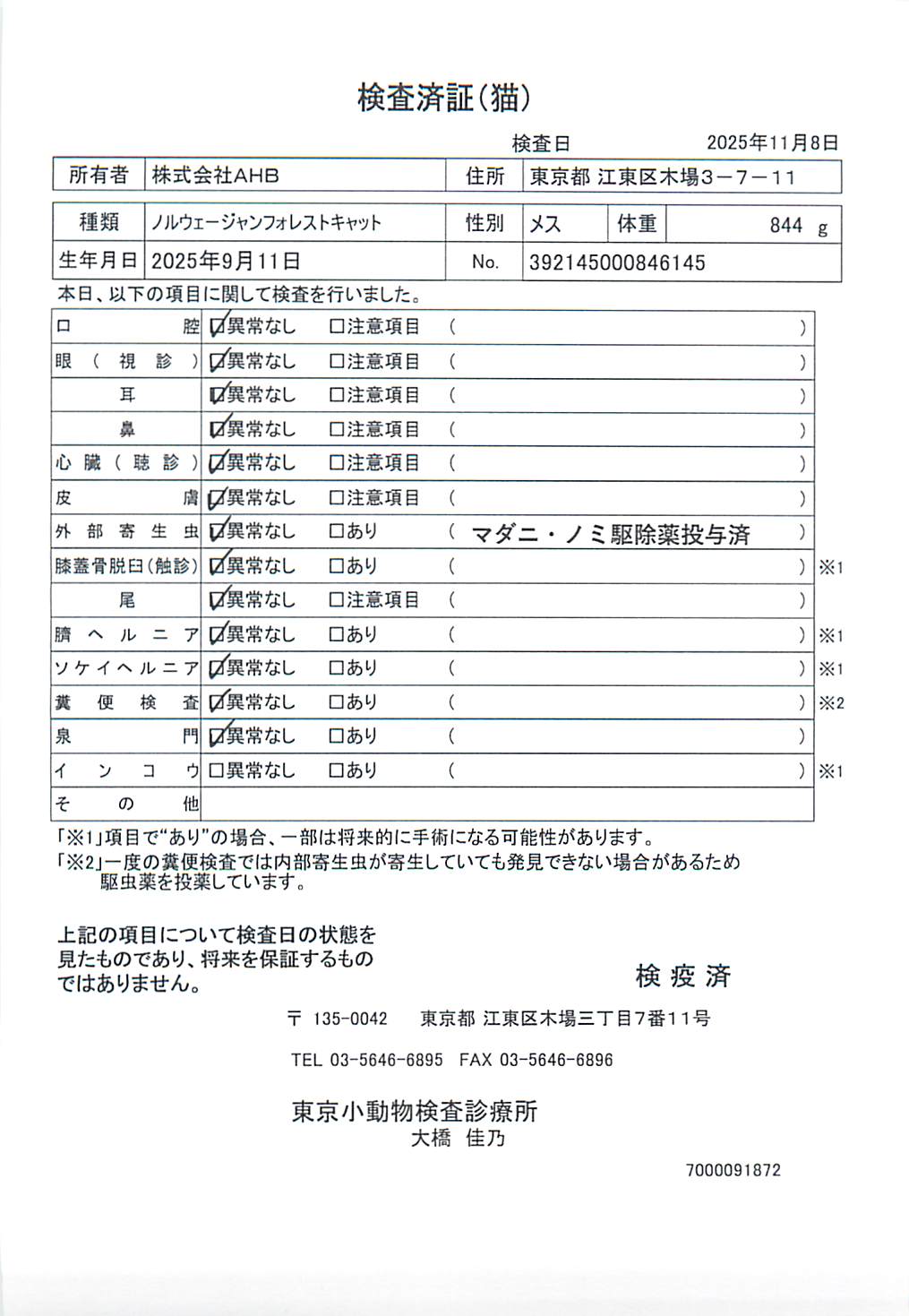ノルウェージャンフォレストキャット