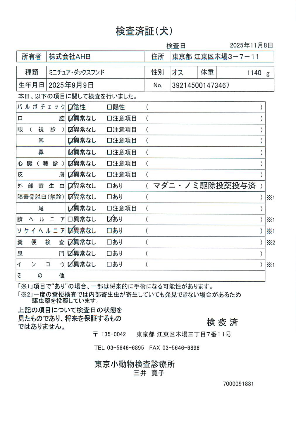 ミニチュア・ダックスフンド