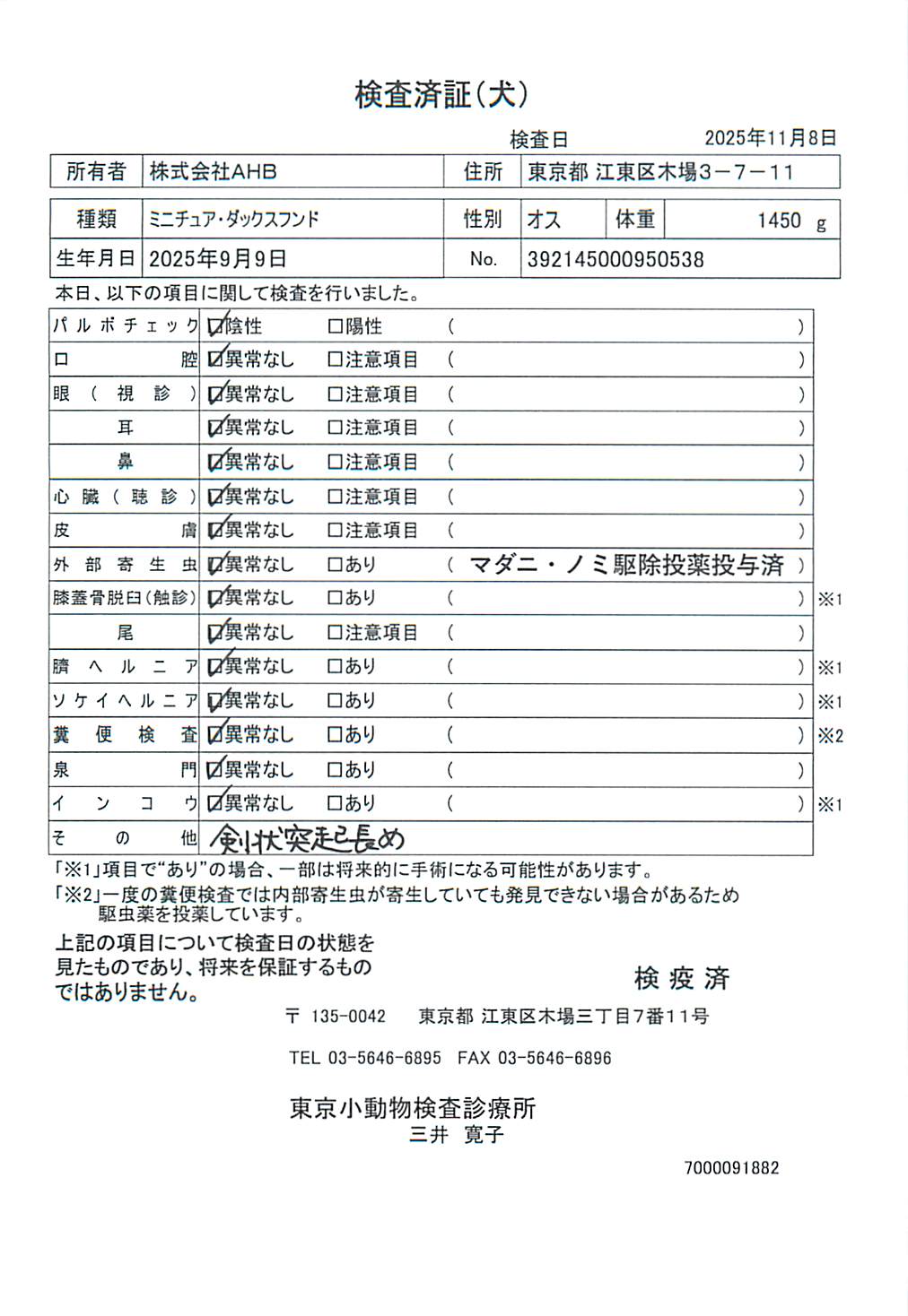 ミニチュア・ダックスフンド