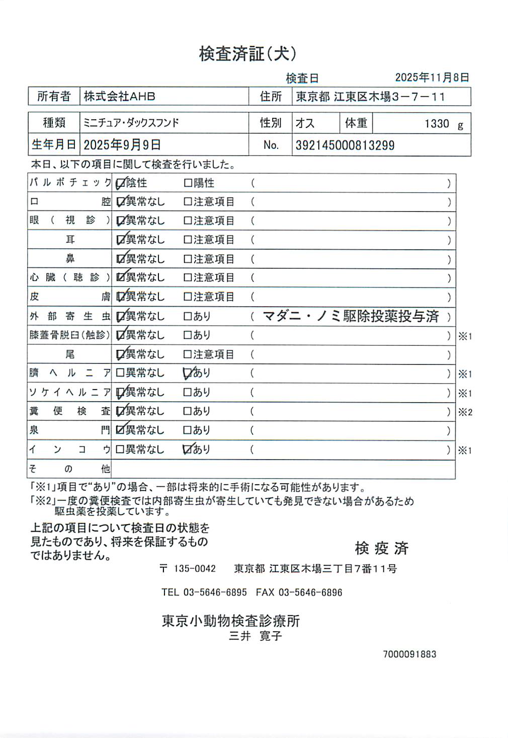 ミニチュア・ダックスフンド