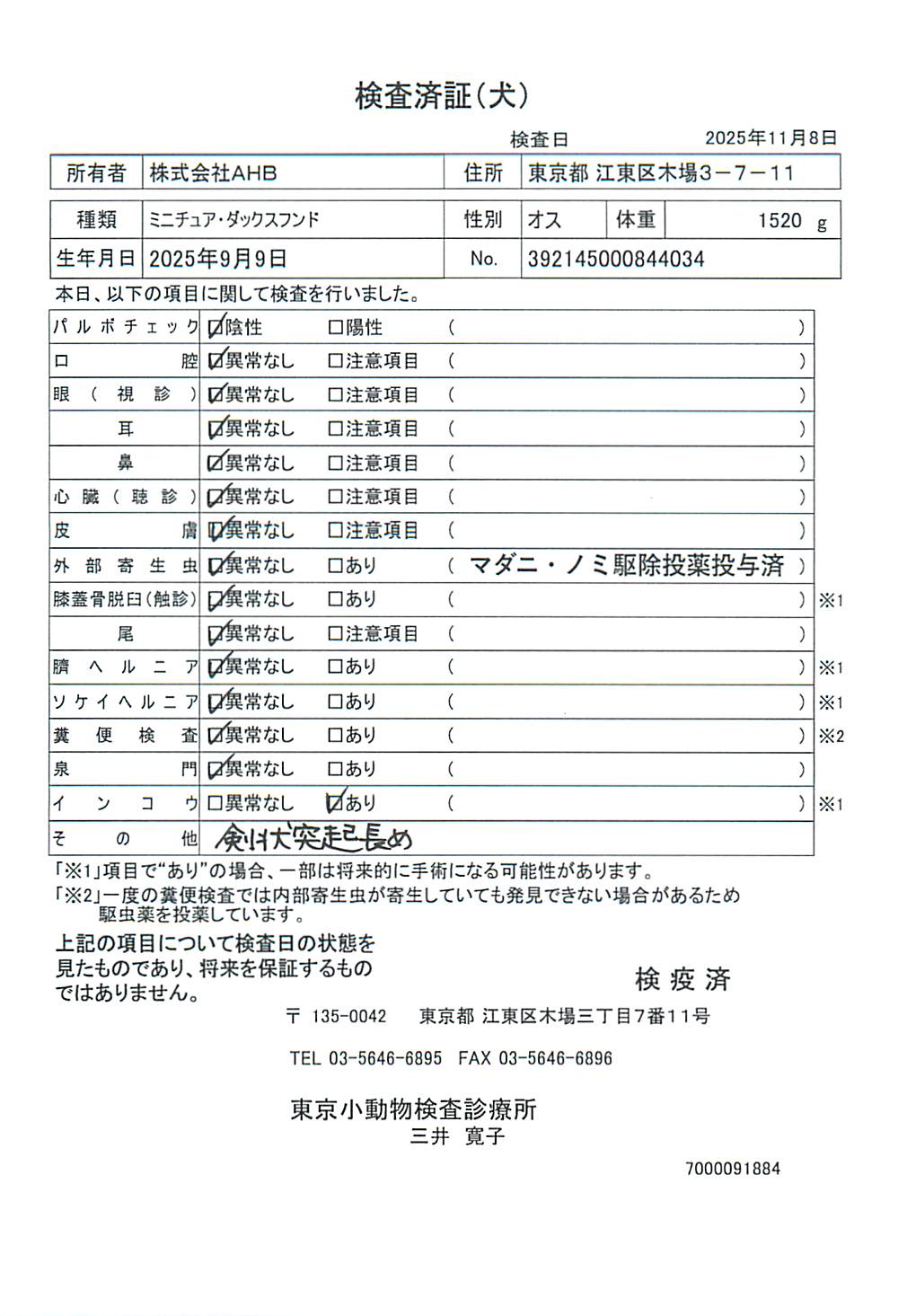 ミニチュア・ダックスフンド