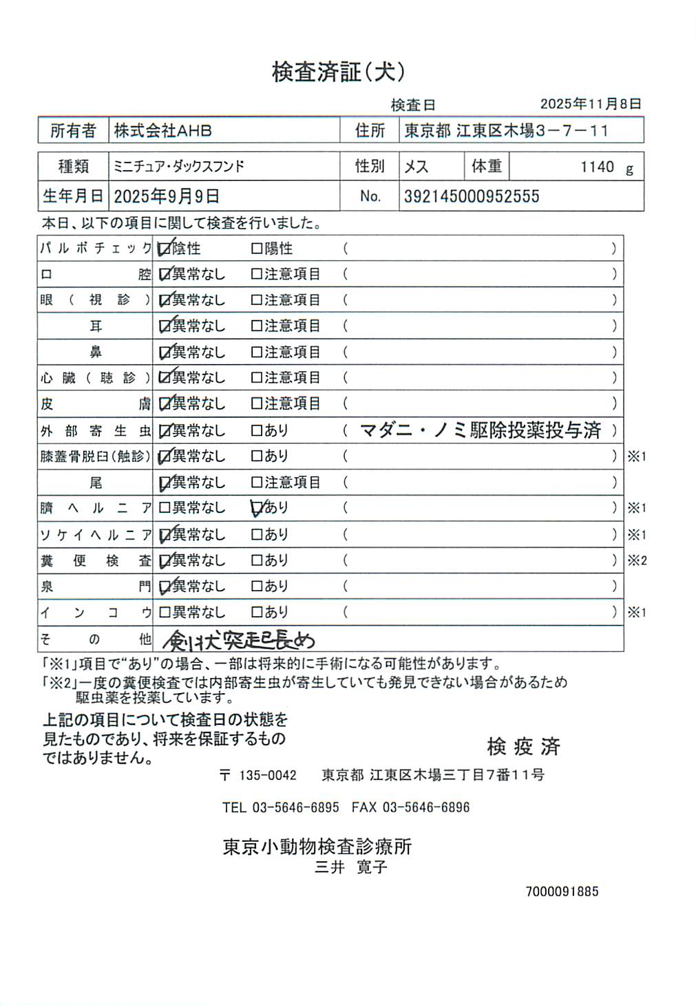 ミニチュア・ダックスフンド