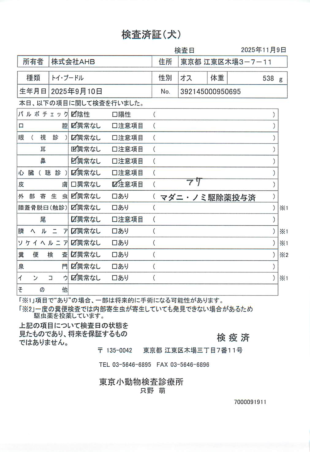 トイ・プードル