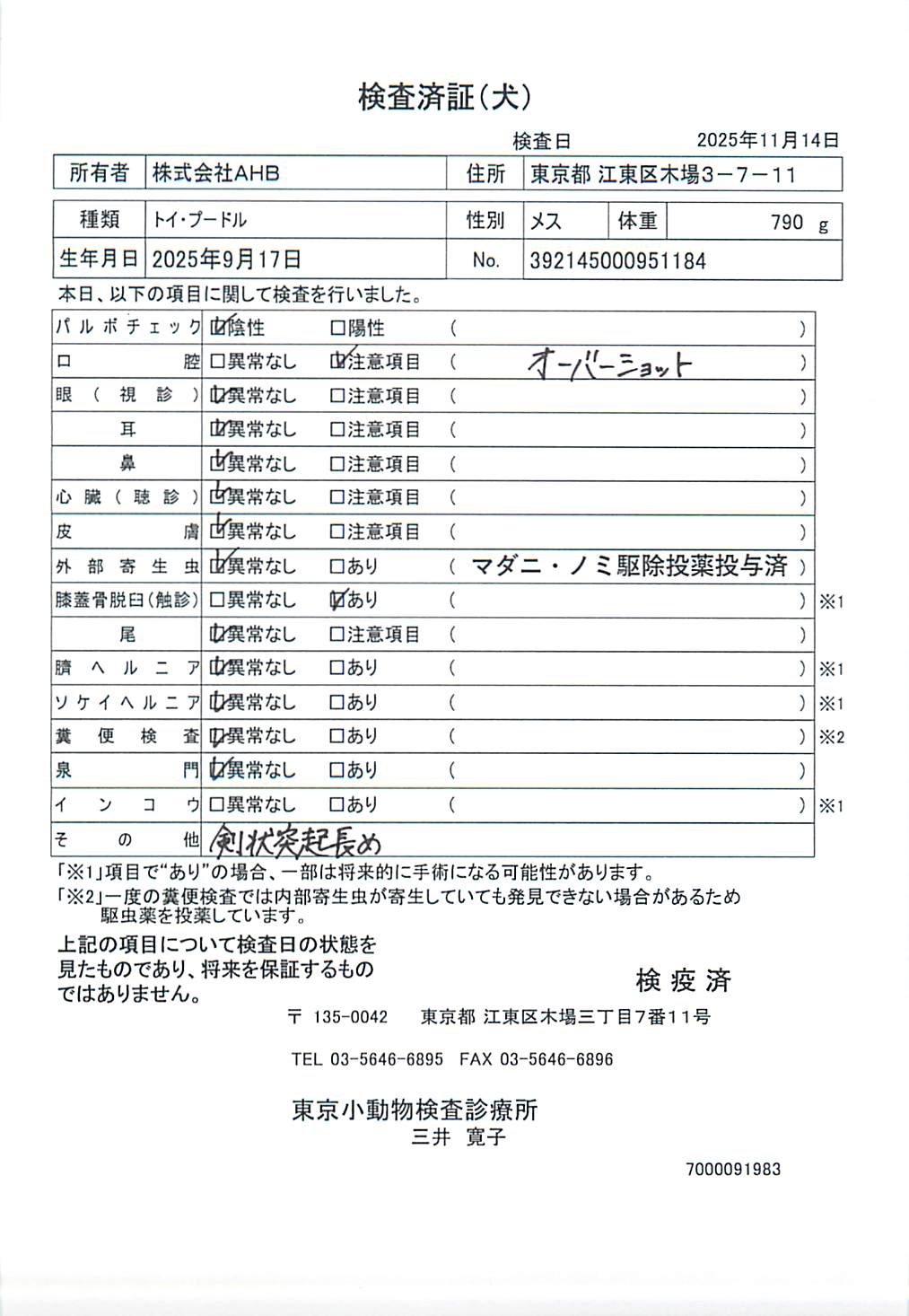 トイ・プードル