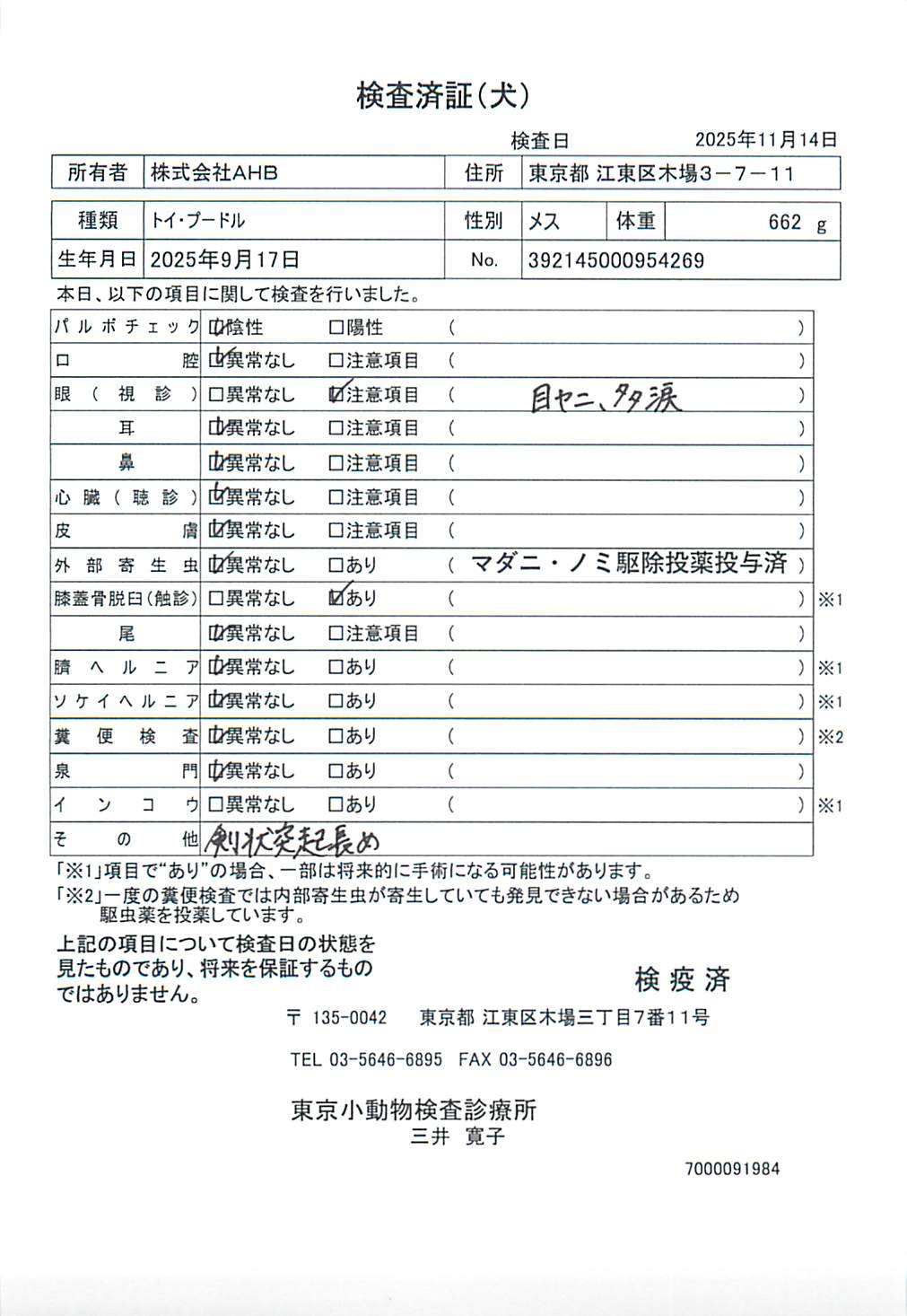 トイ・プードル
