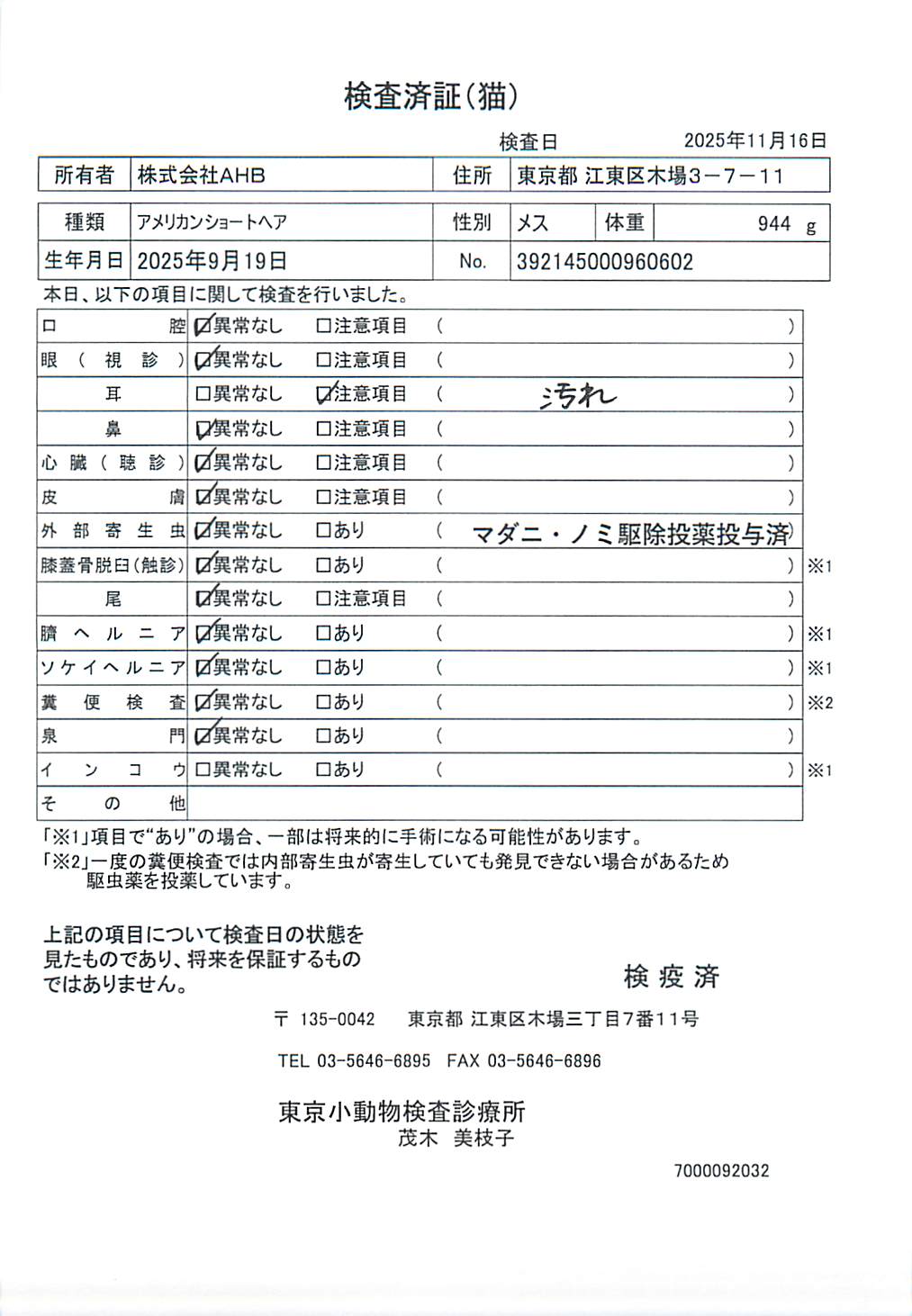 アメリカンショートヘア