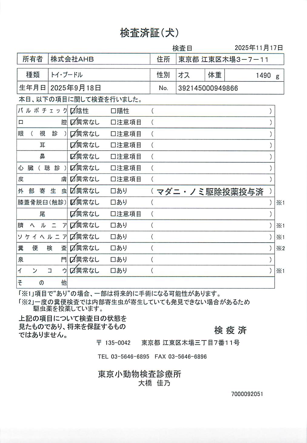 トイ・プードル