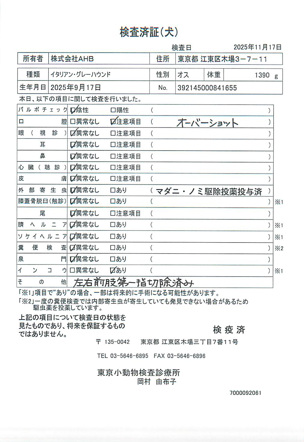 イタリアン・グレーハウンド