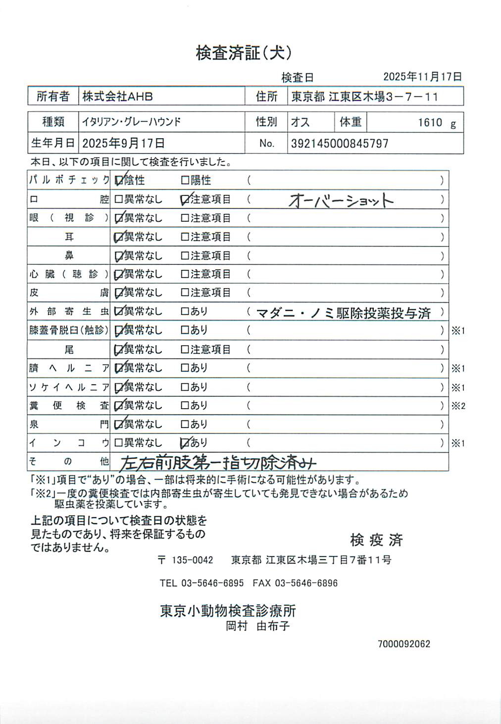 イタリアン・グレーハウンド