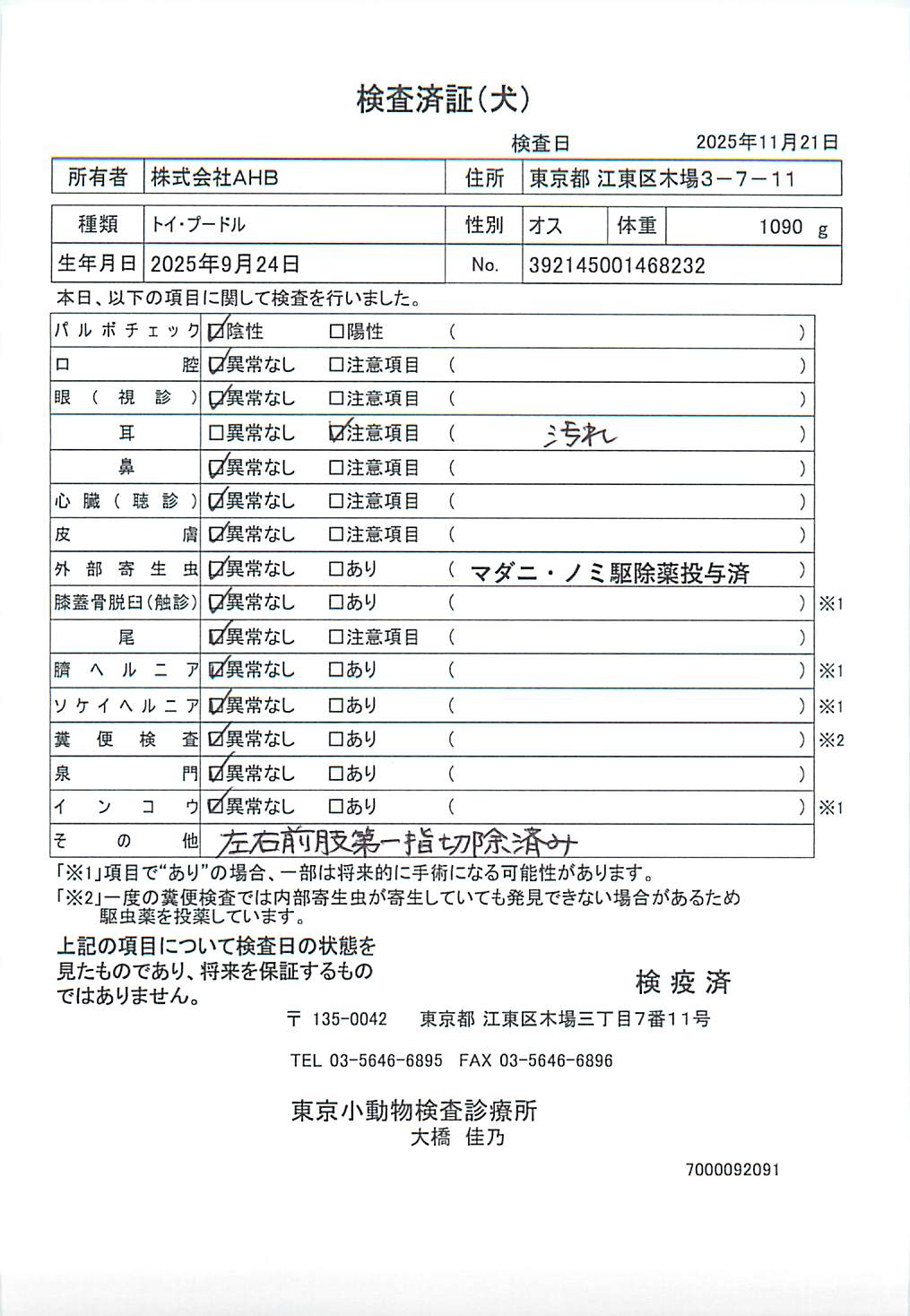 トイ・プードル