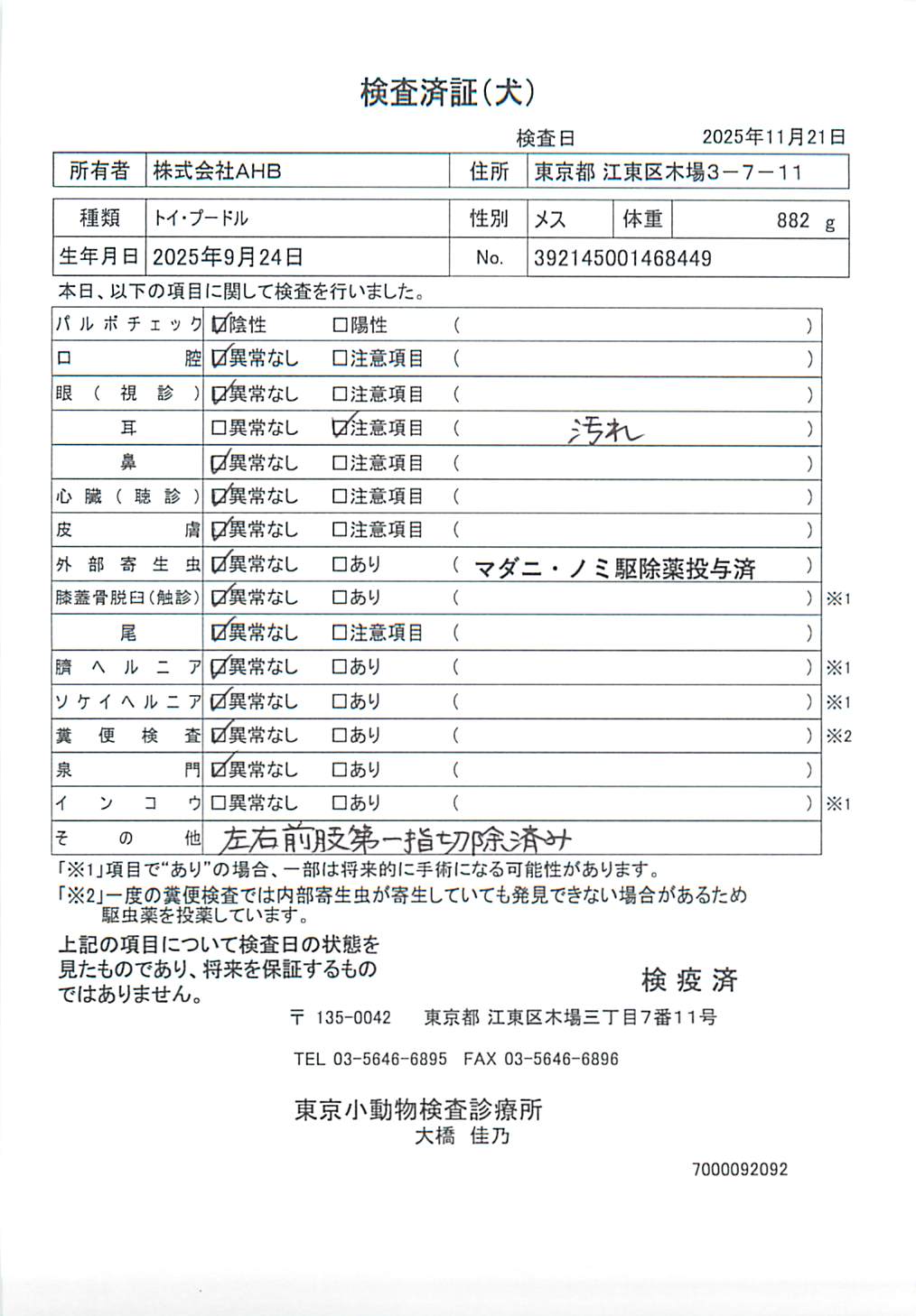 トイ・プードル