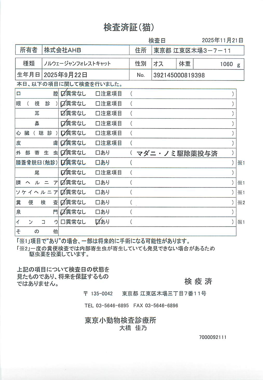 ノルウェージャンフォレストキャット