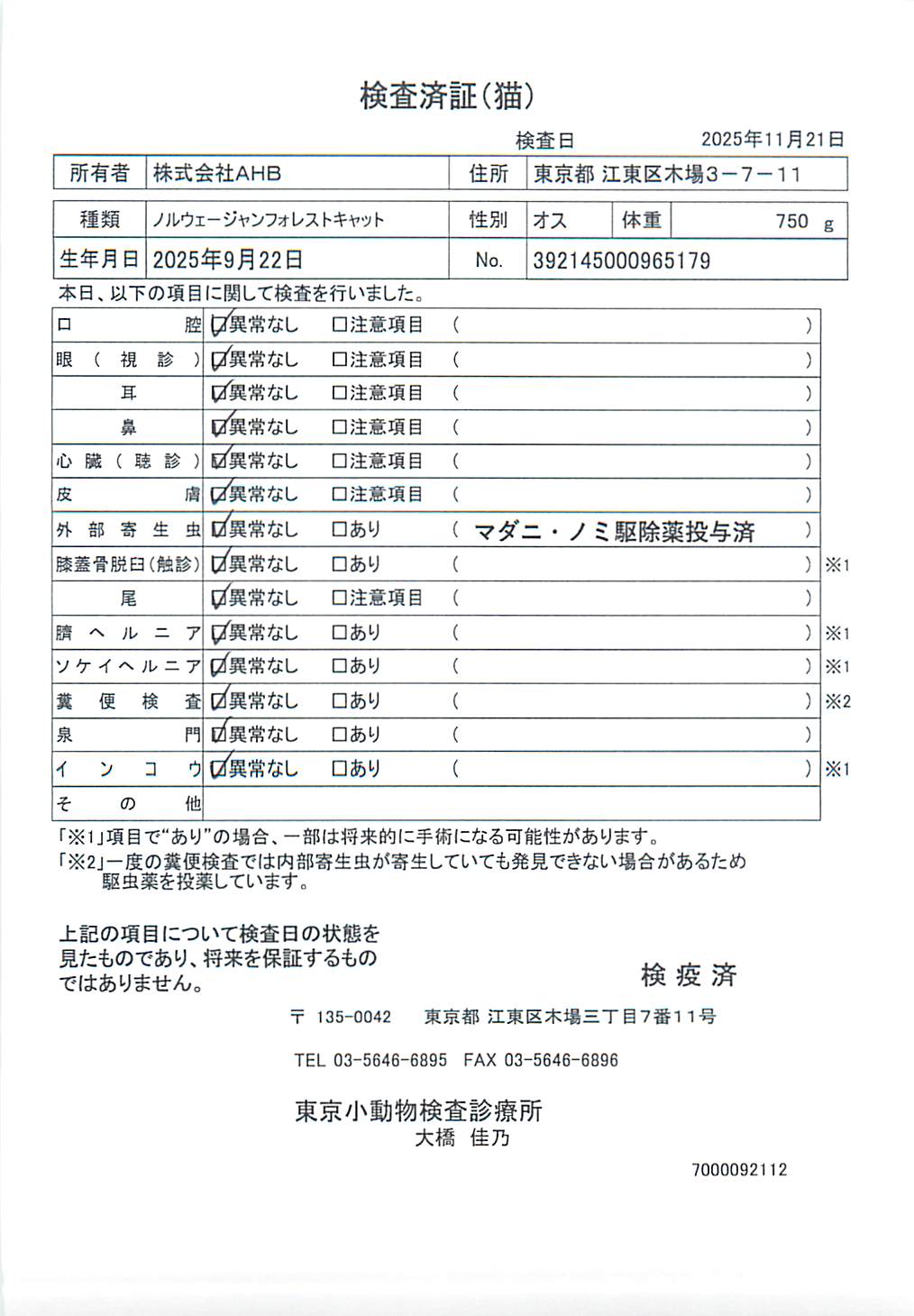 ノルウェージャンフォレストキャット