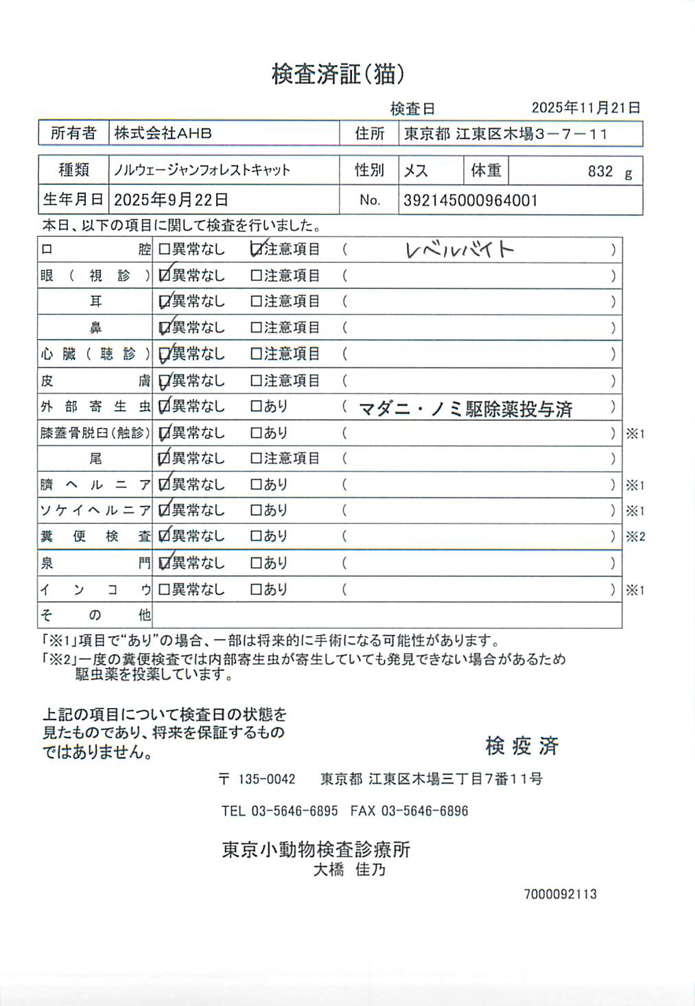 ノルウェージャンフォレストキャット