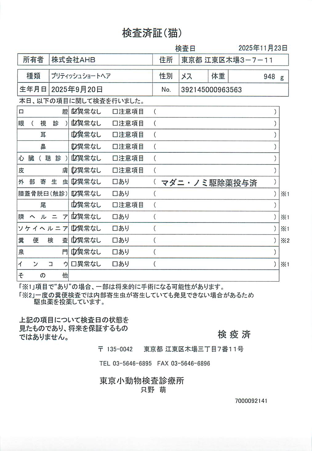 ブリティッシュショートヘア
