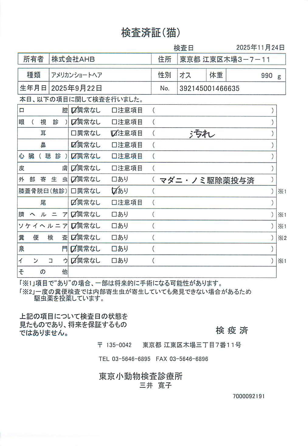 アメリカンショートヘア