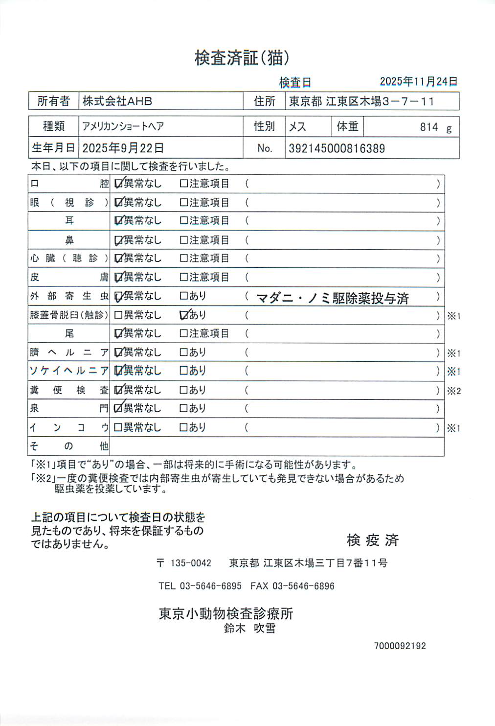 アメリカンショートヘア