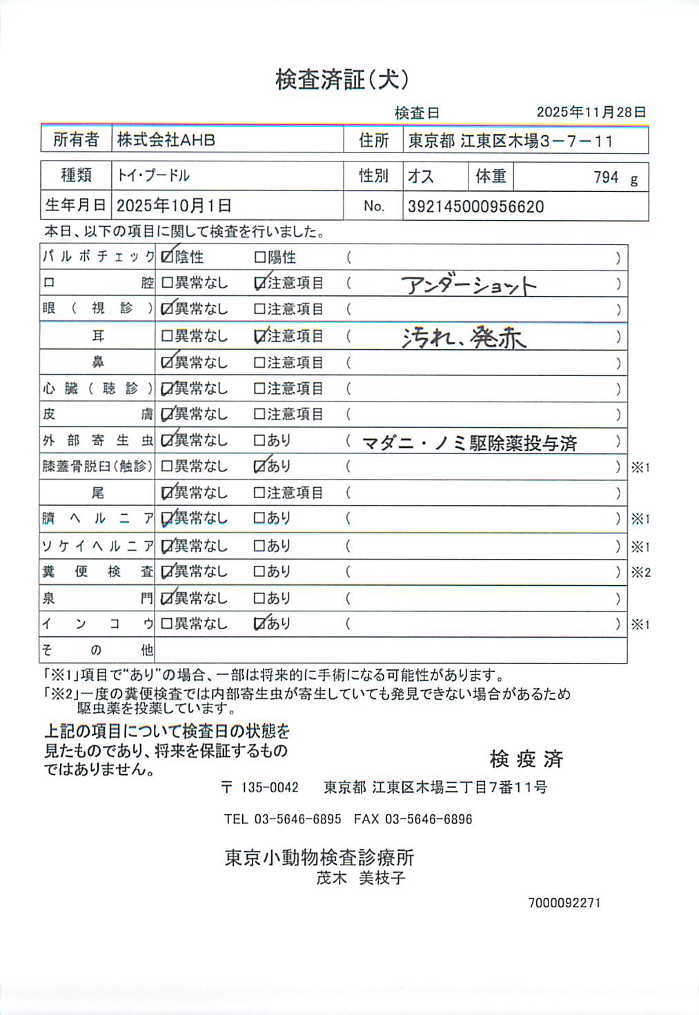 トイ・プードル