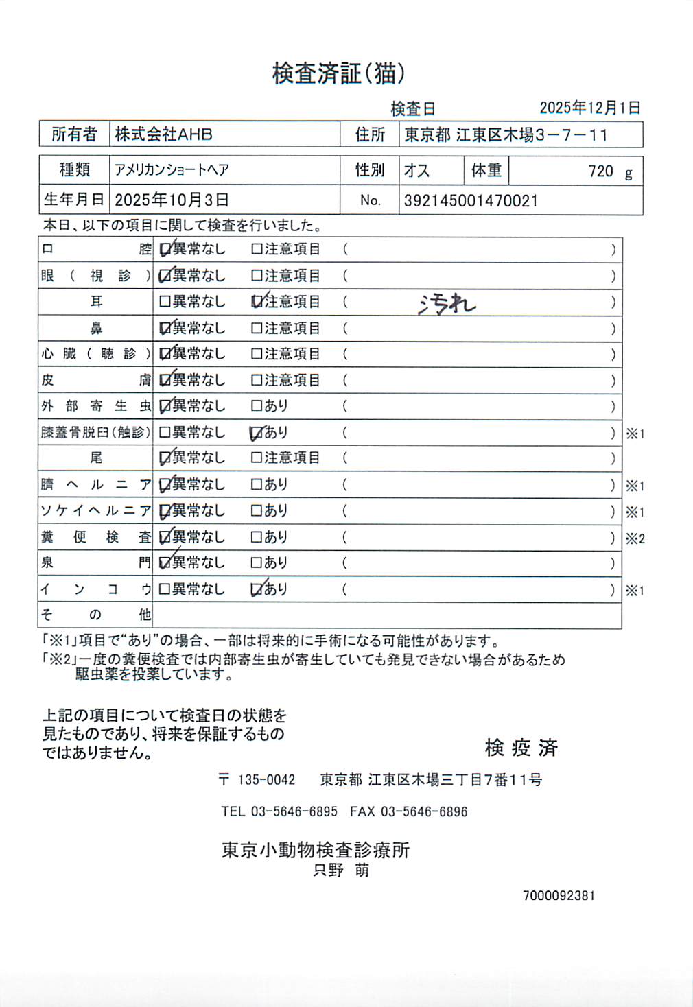 アメリカンショートヘア