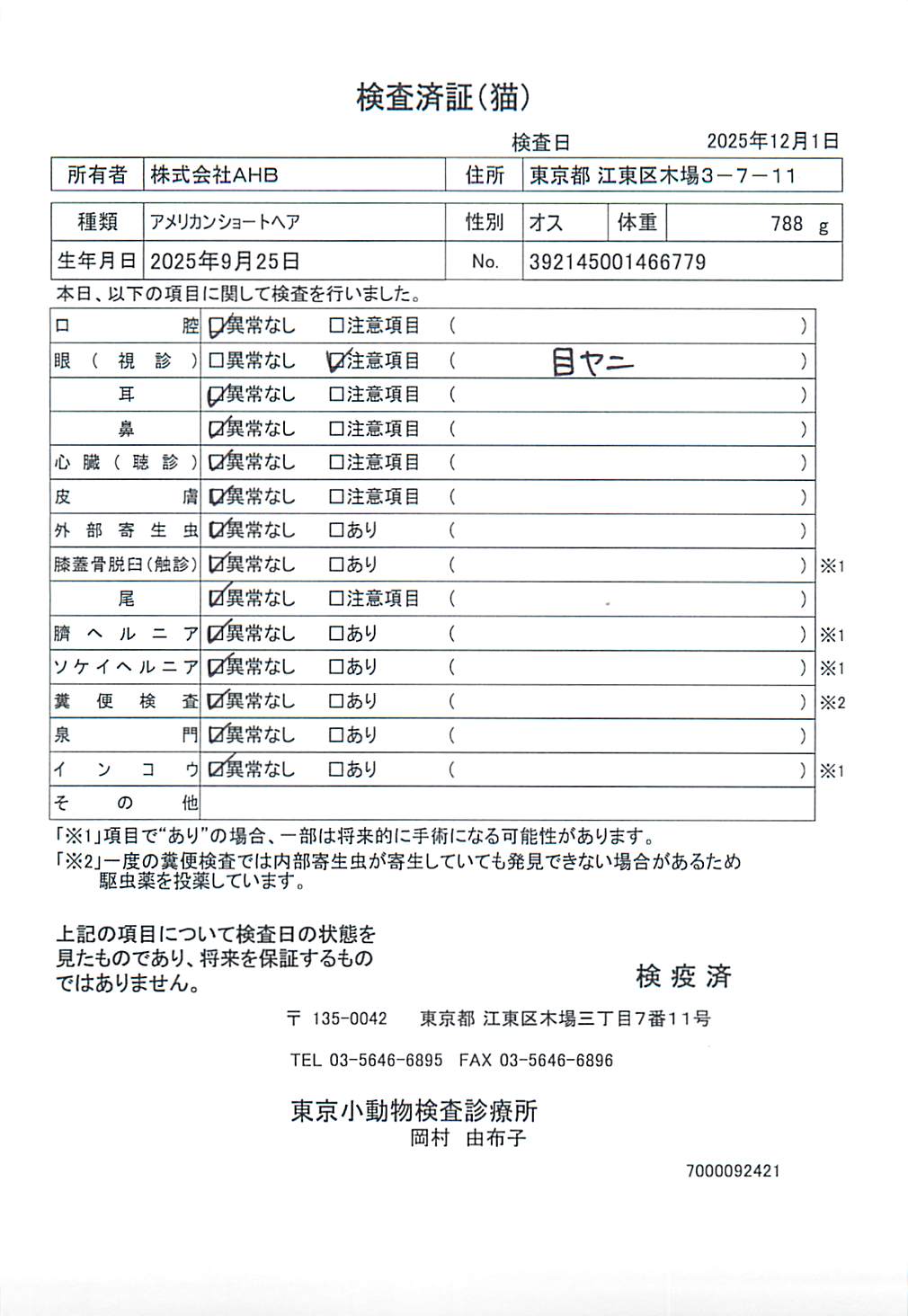 アメリカンショートヘア