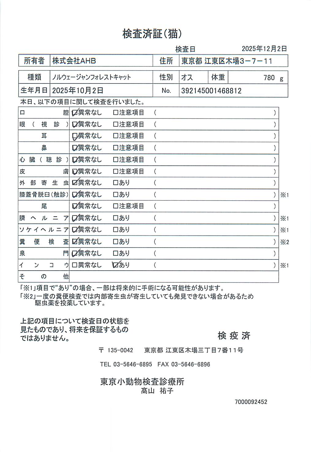 ノルウェージャンフォレストキャット