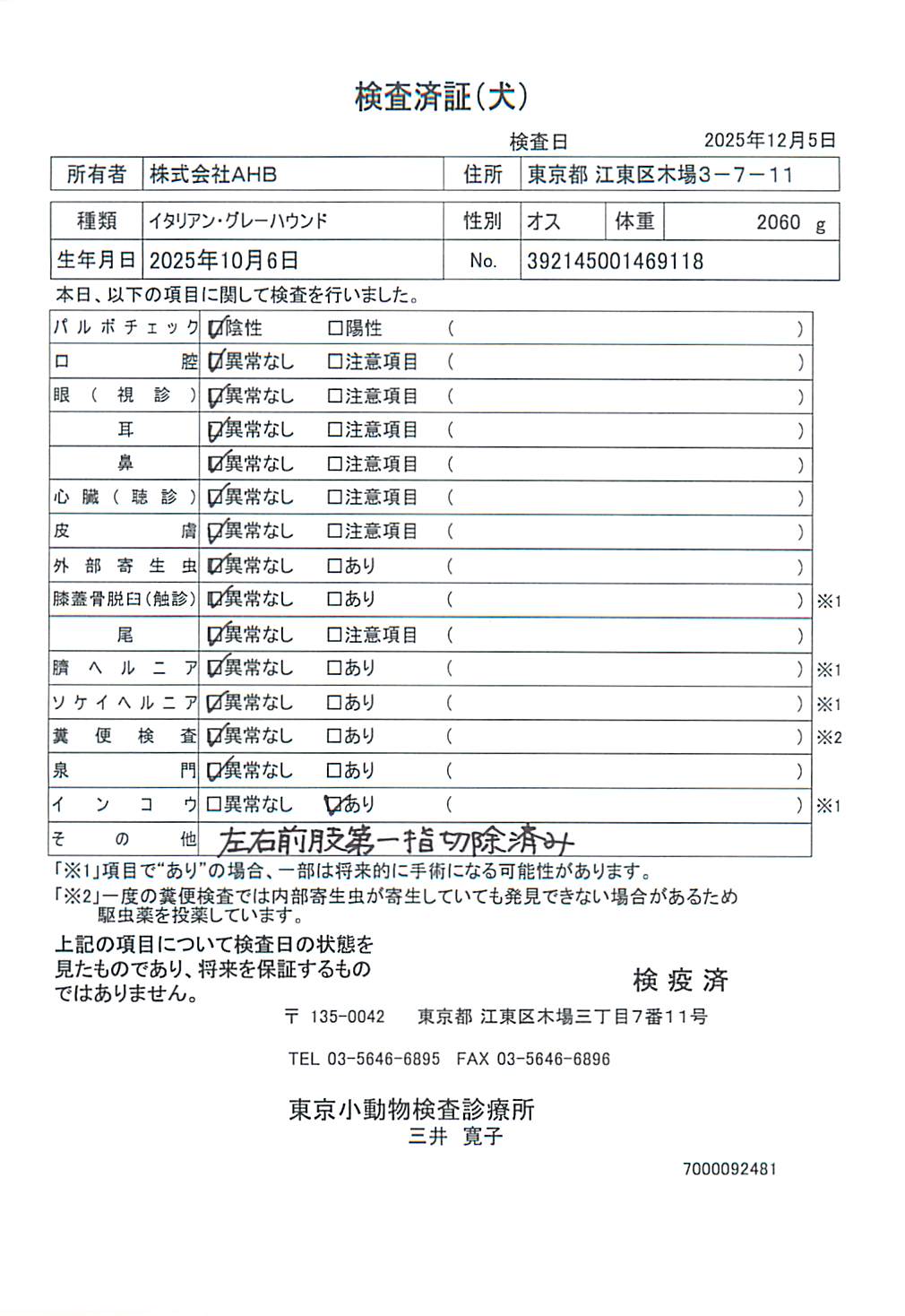 イタリアン・グレーハウンド