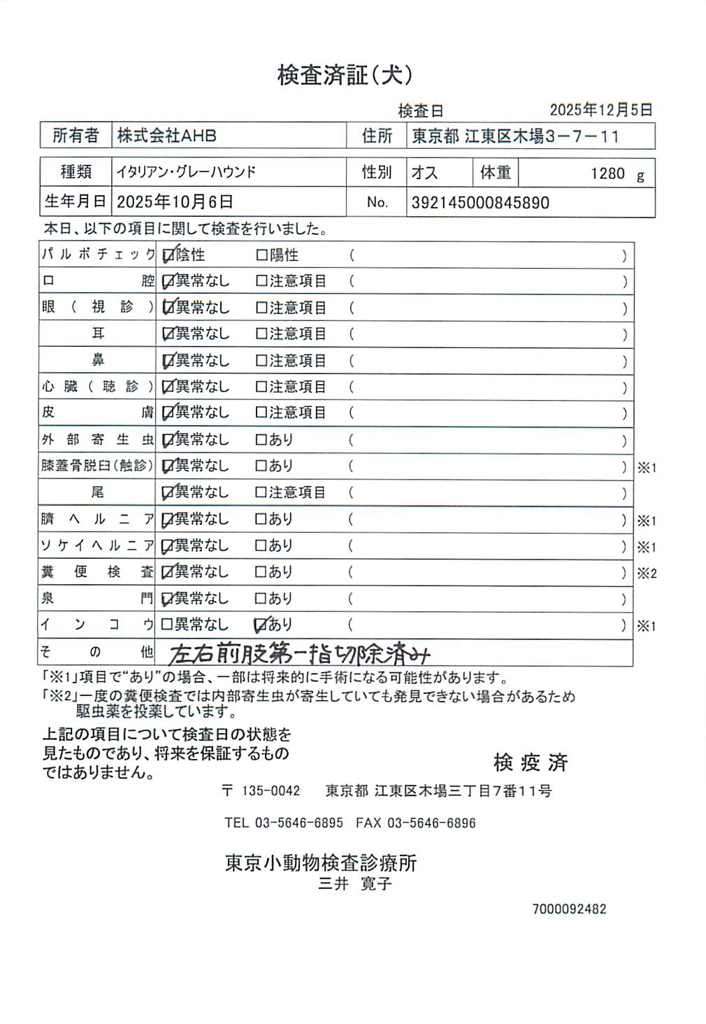 イタリアン・グレーハウンド
