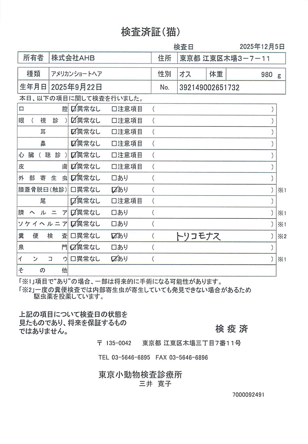 アメリカンショートヘア