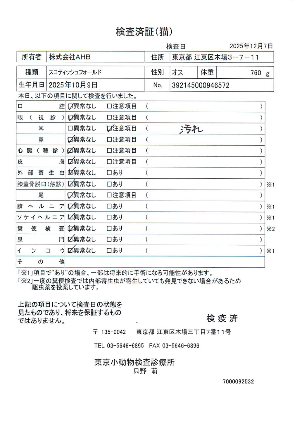 スコティッシュフォールド