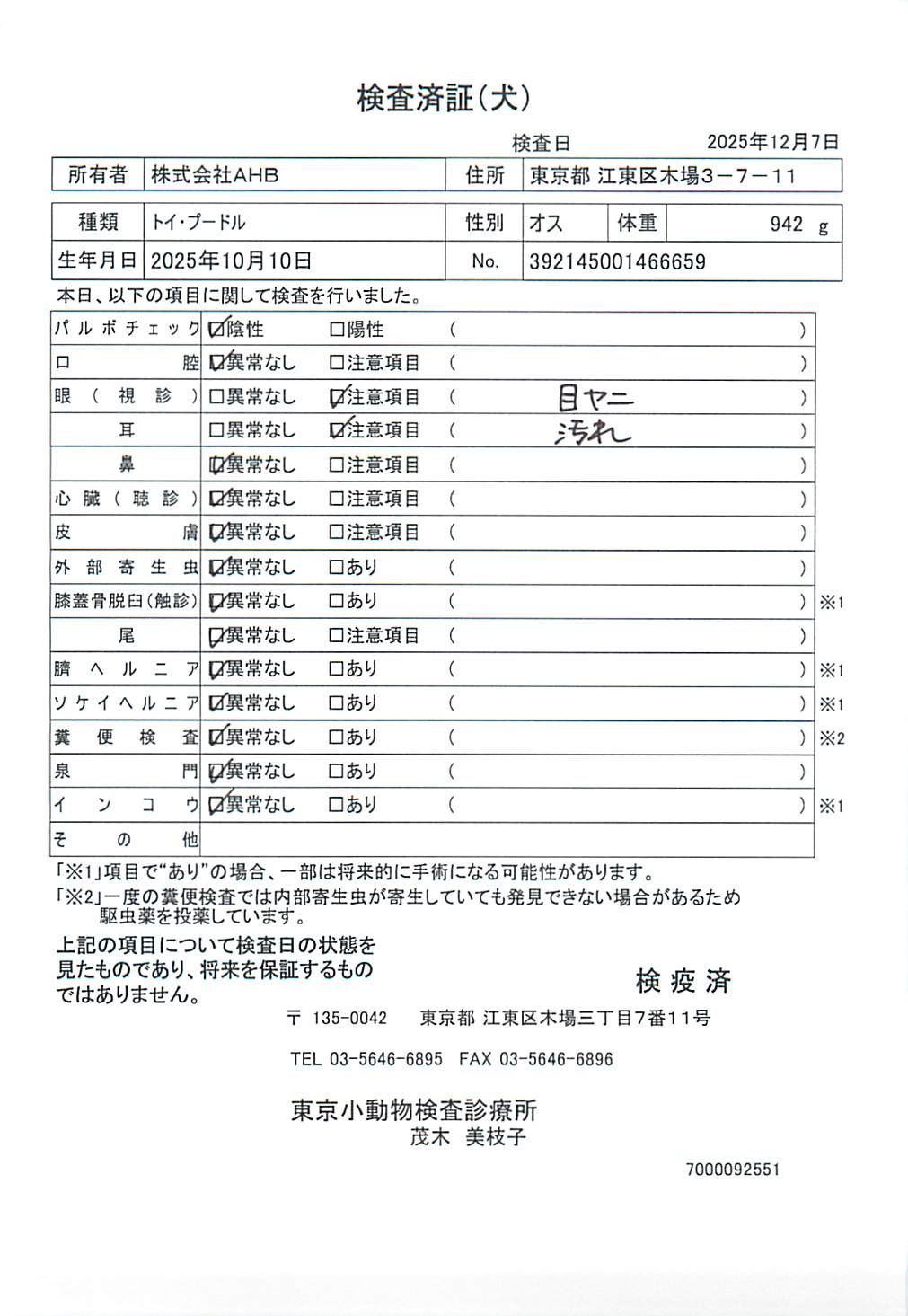 トイ・プードル