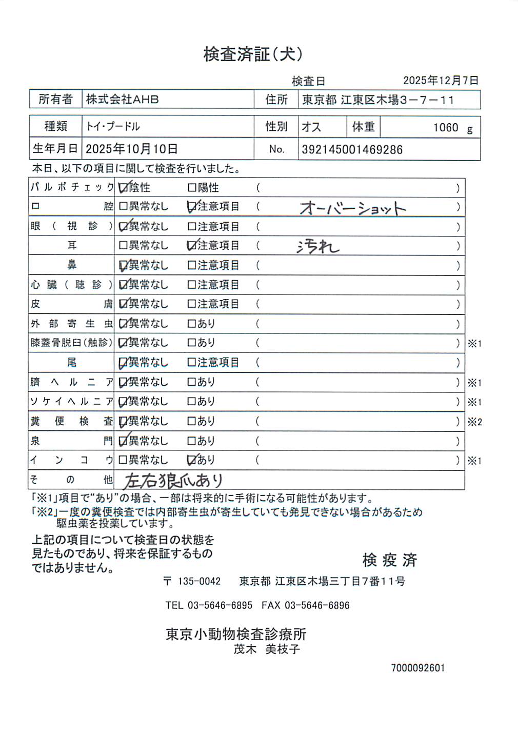 トイ・プードル