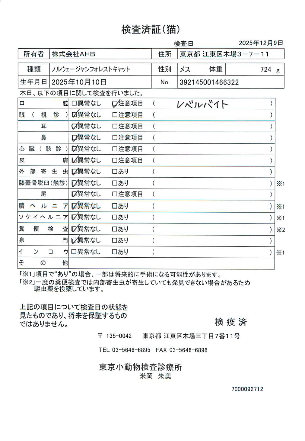 ノルウェージャンフォレストキャット