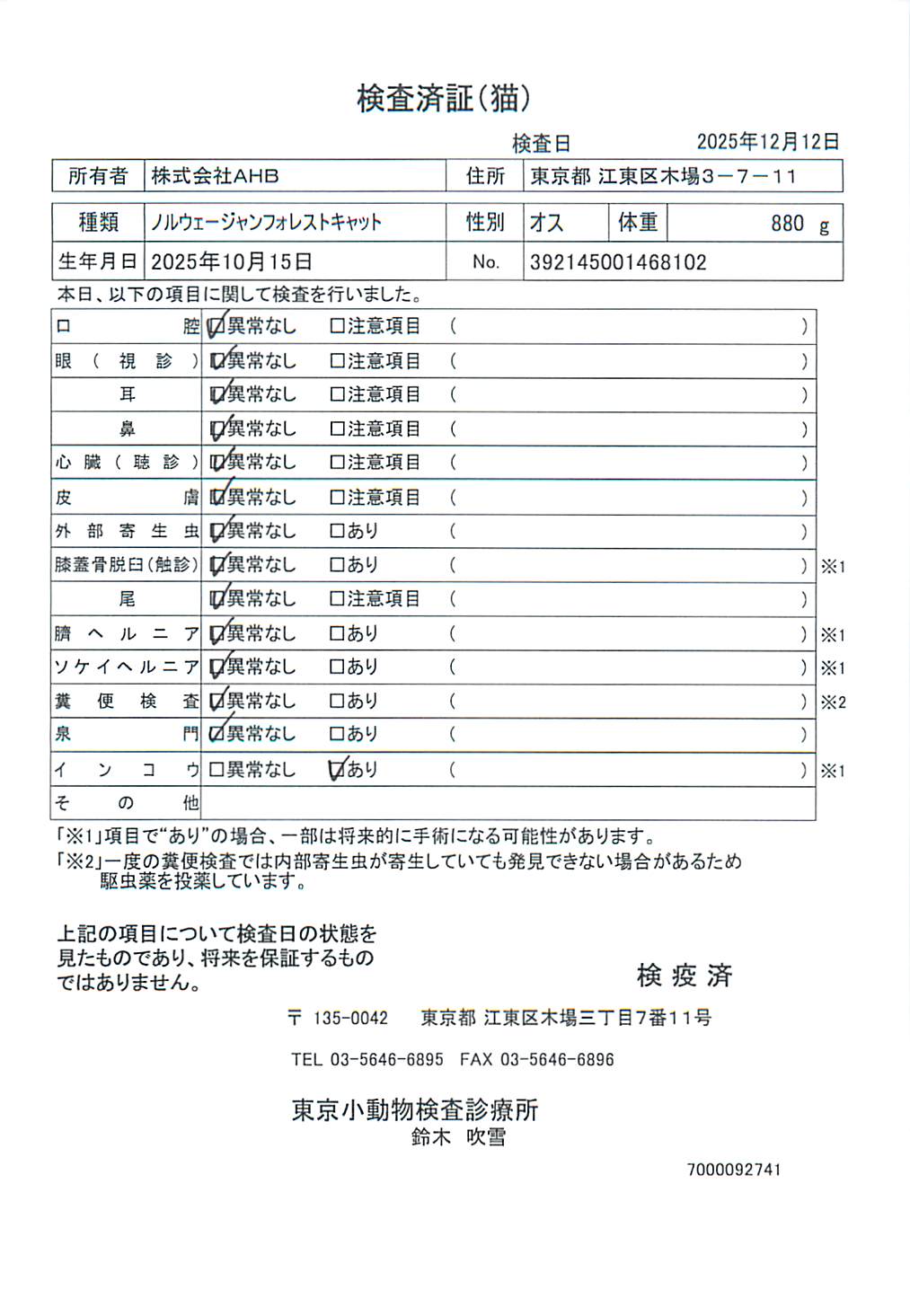 ノルウェージャンフォレストキャット