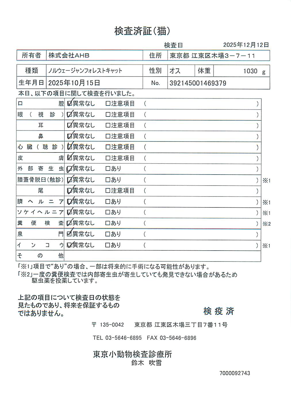 ノルウェージャンフォレストキャット