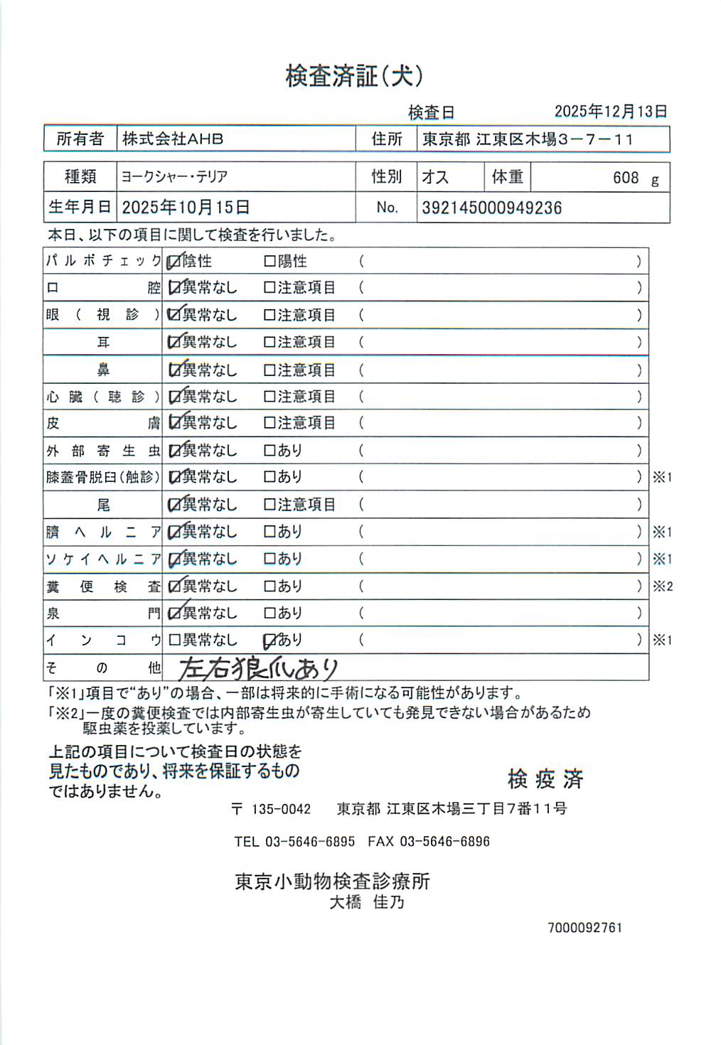 ヨークシャー・テリア