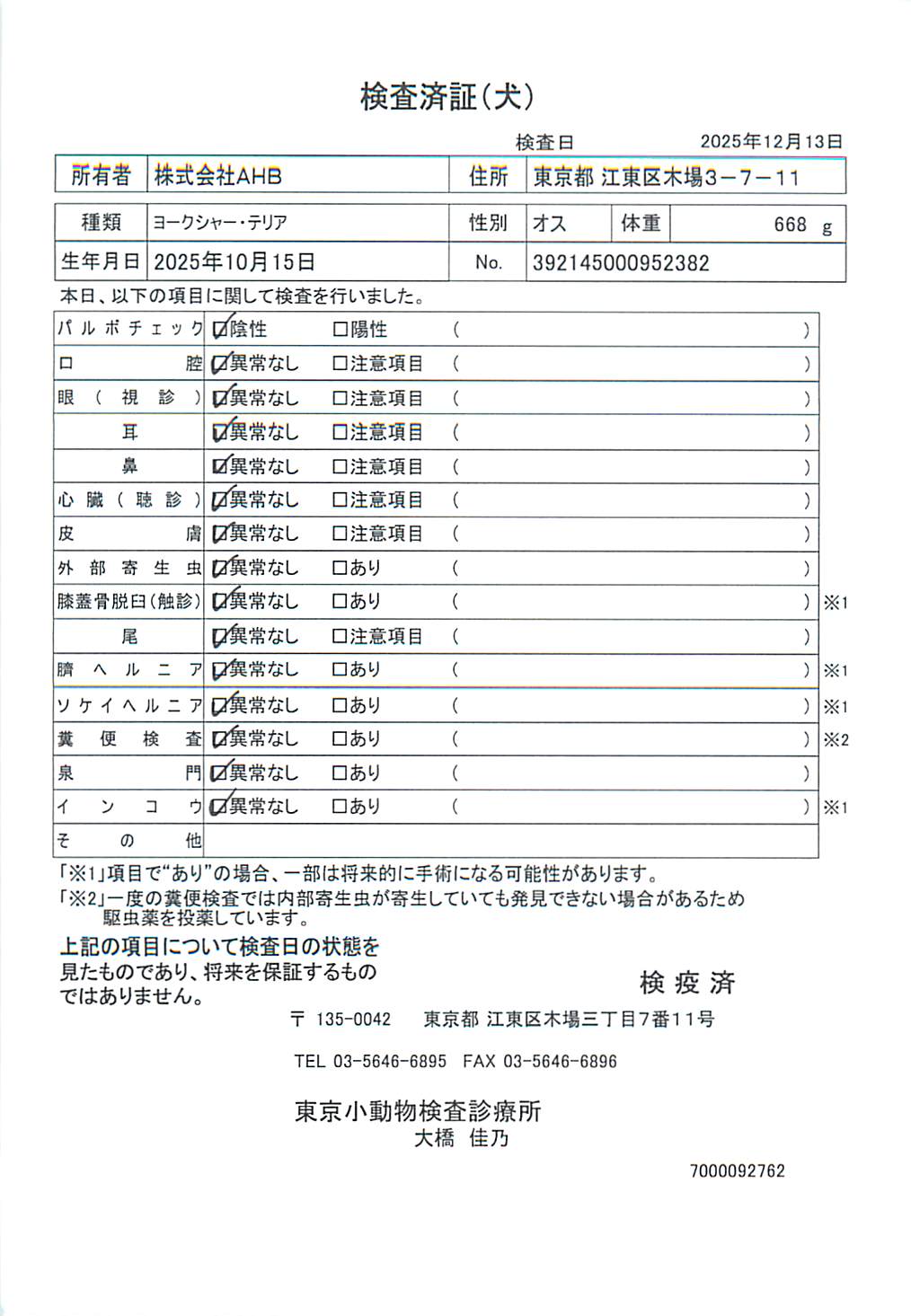 ヨークシャー・テリア