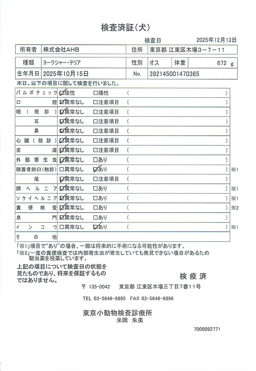 ヨークシャー・テリア