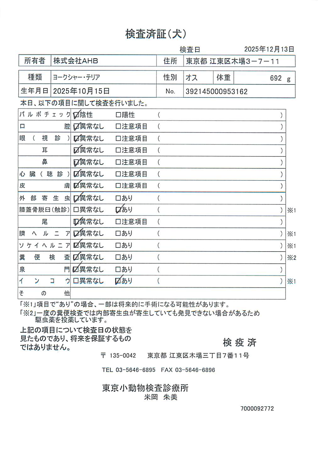 ヨークシャー・テリア