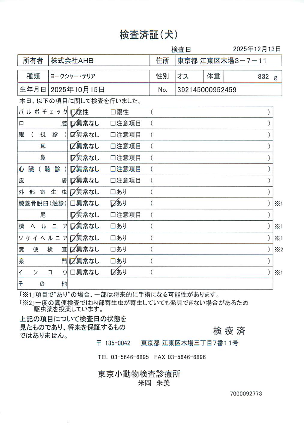 ヨークシャー・テリア