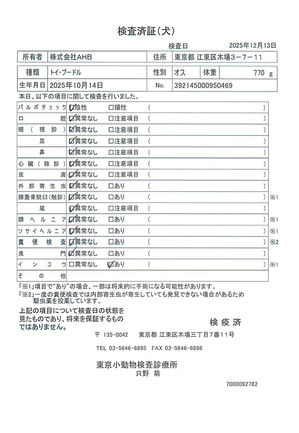 トイ・プードル