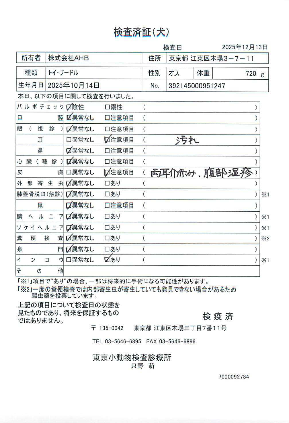 トイ・プードル