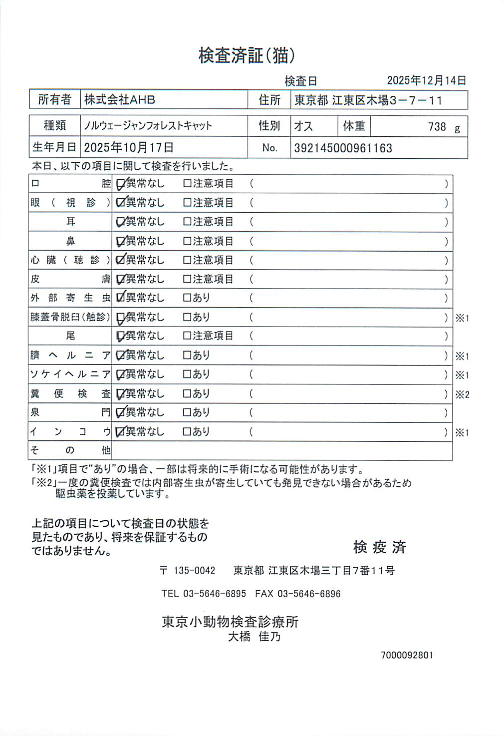 ノルウェージャンフォレストキャット